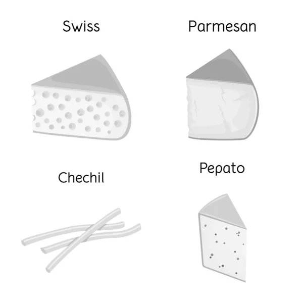 Vektor illustration av aptitretare och mat tecken. Uppsättning aptitretare och produkt stock symbol för webben. — Stock vektor
