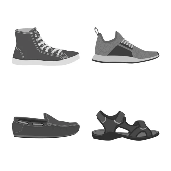 Ayakkabı ve ayakkabı logo vektör tasarımı. Ayakkabı ayarla ve hisse senedi simgesi web için ayak. — Stok Vektör