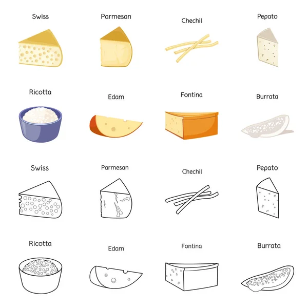 Vektor illustration av produkt och mjölk symbol. Samling av produkt och snack stock symbol för webben. — Stock vektor