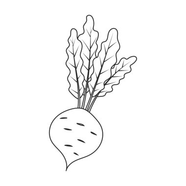 Pancar vektör simgesi. Beyaz pancar pancarında izole edilmiş çizgi vektör simgesi .