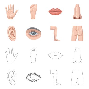 İnsan ve yarım işareti vektör Illustration. Kadın hisse senedi vektör çizim ve insan topluluğu.