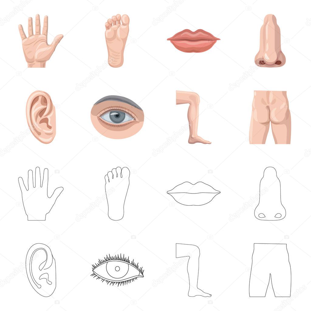 Vector illustration of human and part sign. Collection of human and woman stock vector illustration.