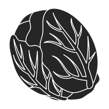 Lahana vektörü simgesi. Beyaz lahana üzerinde izole edilmiş siyah, basit vektör simgesi..