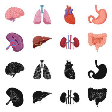 Vücut ve insan logo yalıtılmış nesne. Vücut ve web için tıbbi hisse senedi simgesi toplama.