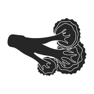 Brokoli vektör simgesinin lahanası. Brokolinin beyaz arka plan lahanasına izole edilmiş siyah, basit vektör simgesi. .