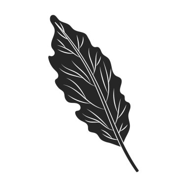 Lahana yaprağı vektör simgesi. Siyah, basit vektör simgesi, beyaz lahana yaprağına izole edilmiş. .