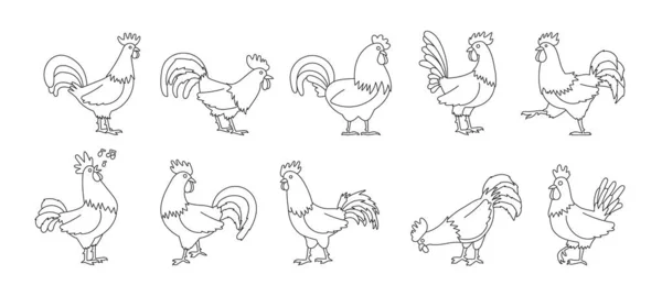 Cock of animal isolated outline set icon.Vector illustration set rooster cockerel.Vector outline icon cock of animal. — Stock Vector