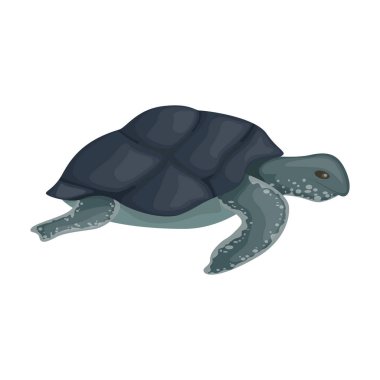 Sea turtle vector icon.Cartoon vector icon isolated on white background sea turtle. clipart