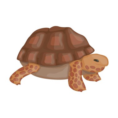 Sea turtle vector icon.Cartoon vector icon isolated on white background sea turtle. clipart