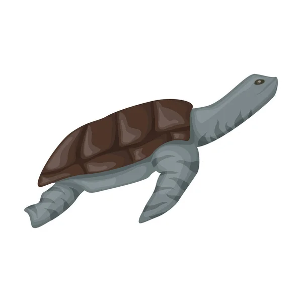 Sea turtle vector icon.Cartoon vector icon isolated on white background sea turtle. — 스톡 벡터