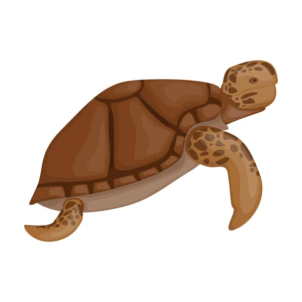 Ícone vetorial tartaruga marinha.Ícone vetorial dos desenhos animados isolado no fundo branco tartaruga marinha . — Vetor de Stock