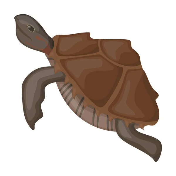 Ikona wektora żółwia morskiego.Ikona wektora kreskówki izolowane na białym tle żółwia morskiego. — Wektor stockowy