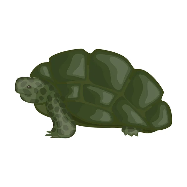 Icona vettoriale tartaruga marina. Icona vettoriale del fumetto isolata su sfondo bianco tartaruga marina . — Vettoriale Stock