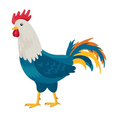Cock of animal vector icon.Cartoon vector icon isolated on white background cock of animal.
