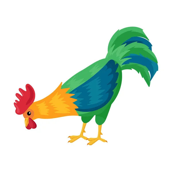 Cock of animal vector icon.Cartoon vector icon isolated on white background cock of animal. — Stock Vector