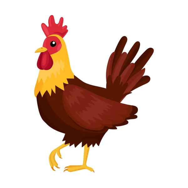 Cock of animal vector icon.Cartoon vector icon isolated on white background cock of animal. — 图库矢量图片