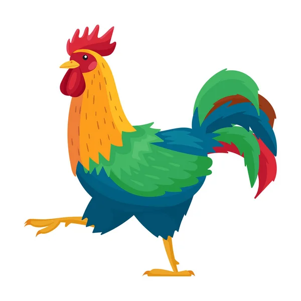 Cock of animal vector icon.Cartoon vector icon isolated on white background cock of animal. — 图库矢量图片