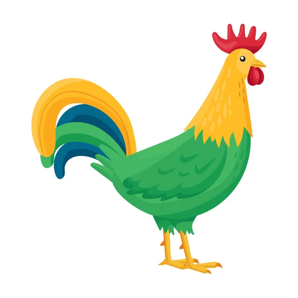 Cock of animal vector icon.Cartoon vector icon isolated on white background cock of animal. — 图库矢量图片