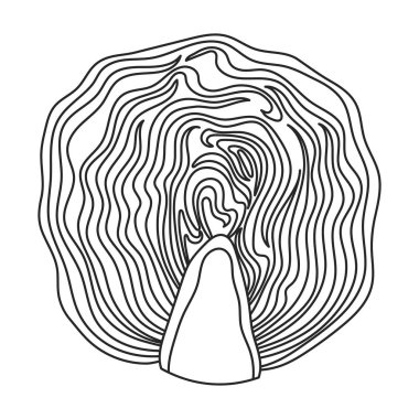 Lahana vektörü simgesi. Taslak, çizgi vektör simgesi beyaz arka planda izole edilmiş..