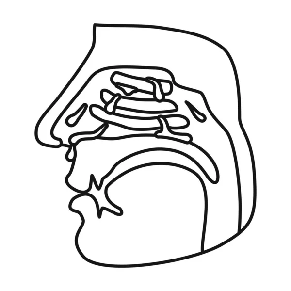 Nasopharynx Vektor icon.outline, Linienvektorsymbol isoliert auf weißem Hintergrund Nasopharynx. — Stockvektor