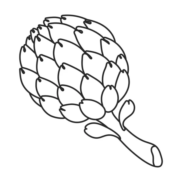 Значок вектора капусты. Контур, символ вектора линии, выделенный на белом фоне капусты . — стоковый вектор