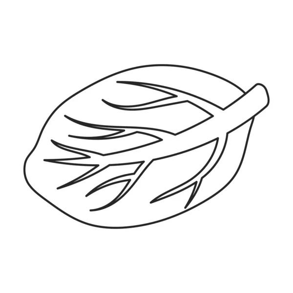 Cabbage vector icon.Outline, ícone de vetor de linha isolado no fundo branco repolho . — Vetor de Stock