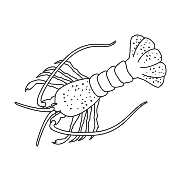 Lobster vector icon.Outline,line vector icon isolated on white background lobster. — 스톡 벡터