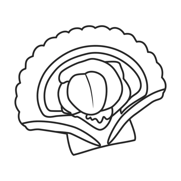 Oyster vector icon.Outline, line vector icon isolated on white background oyster . — стоковый вектор