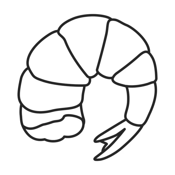 Vetor de camarão icon.Outline, ícone de vetor de linha isolado no camarão de fundo branco  . —  Vetores de Stock