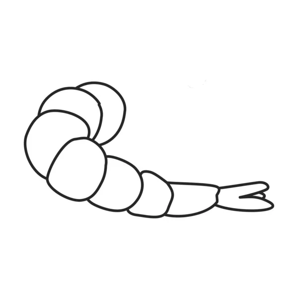 エビのベクトルアイコン概要、白地に隔離されたラインベクトルアイコンエビ . — ストックベクタ