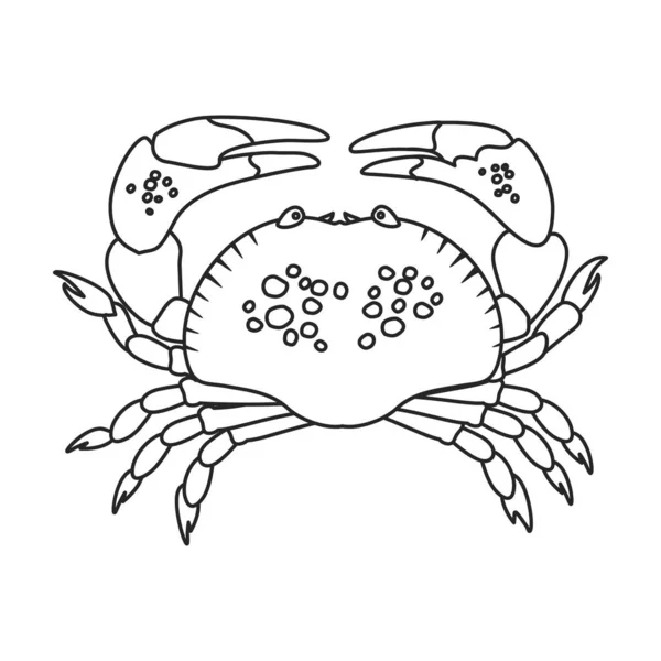 Icône vectorielle du crabe de mer.contour, icône vectorielle de ligne isolée sur fond blanc crabe de mer  . — Image vectorielle