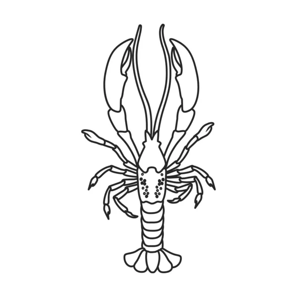 Lagosta vetor icon.Outline, ícone do vetor de linha isolado no fundo branco lagosta . — Vetor de Stock