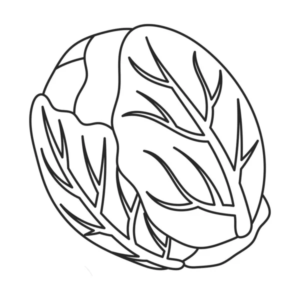 Logotipo Da Alfaceストックベクター ロイヤリティフリーlogotipo Da Alfaceイラスト ページ 5 Depositphotos