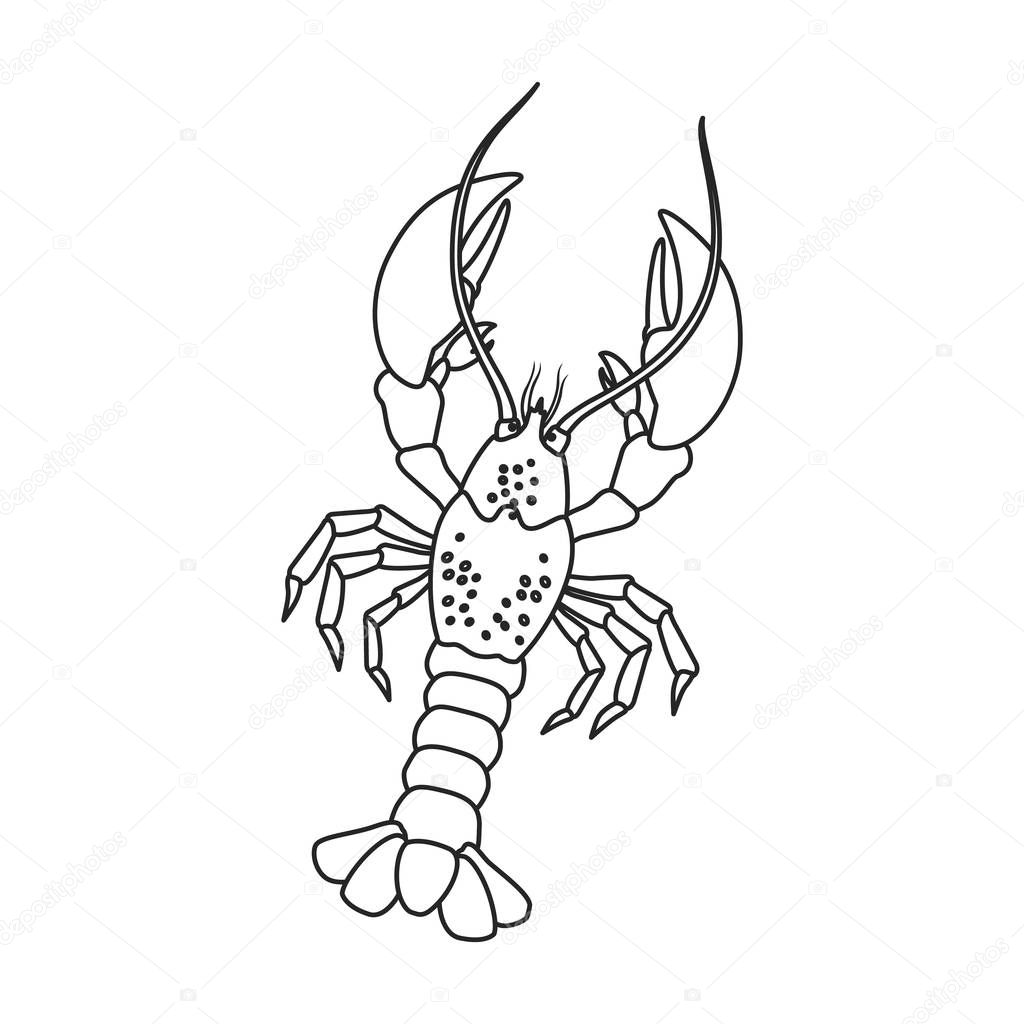 Lobster vector icon.Outline,line vector icon isolated on white background lobster.
