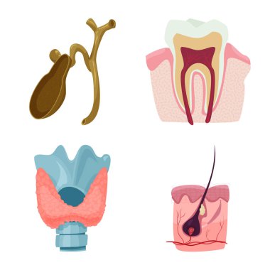 Vücut ve insan işareti vektör tasarımı. Vücut ve hisse senedi için tıbbi vektör simge kümesi.