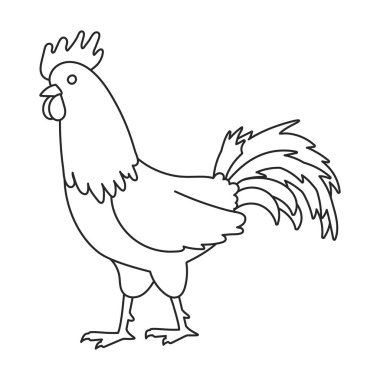 Cock of animal vector icon.Outline,line vector icon isolated on white background cock of animal.