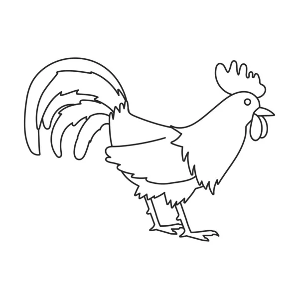 Coq d'icône vectorielle animale.contour, icône vectorielle ligne isolé sur fond blanc coq d'animal . — Image vectorielle