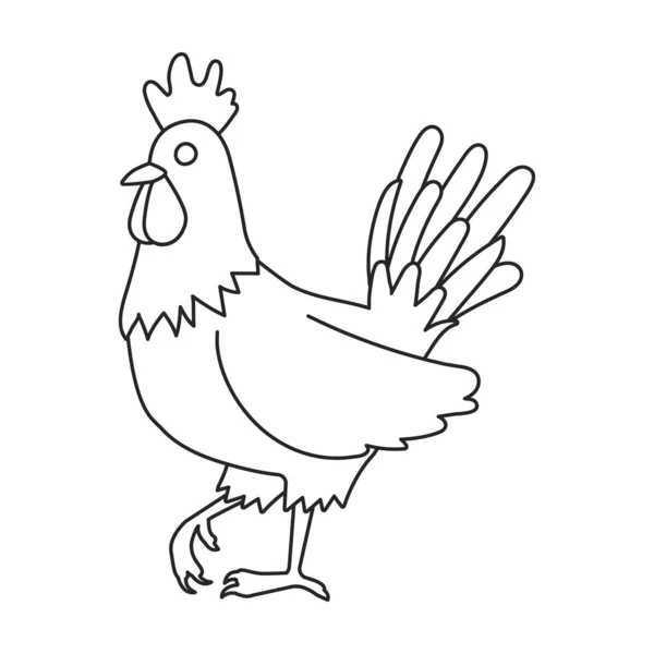 Gallo de animal vector icon.Outline, línea vector icono aislado sobre fondo blanco polla de animal . — Archivo Imágenes Vectoriales
