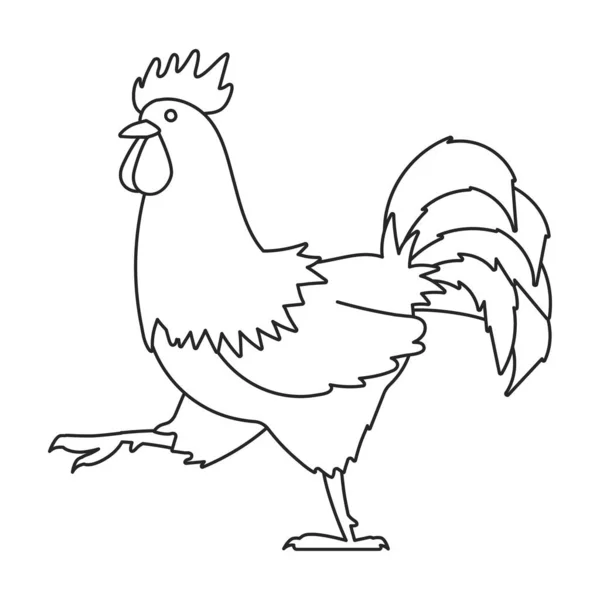 Gallo de animal vector icon.Outline, línea vector icono aislado sobre fondo blanco polla de animal . — Vector de stock