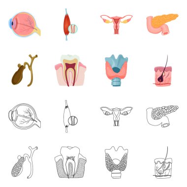 Vücut ve insan logo yalıtılmış nesne. Vücut ve hisse senedi için tıbbi vektör simge kümesi.