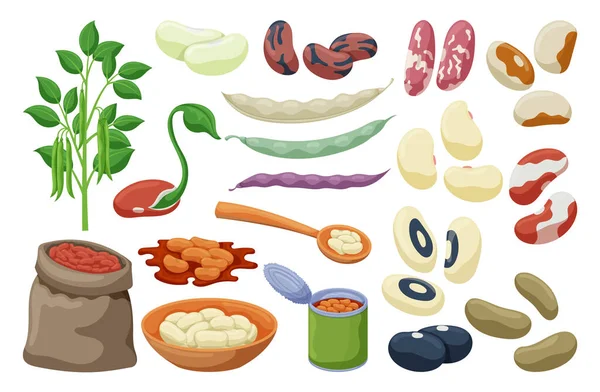 Frijol de ilustración de vectores de alimentos sobre fondo blanco. Icono de conjunto de dibujos animados aislados soja.. — Vector de stock