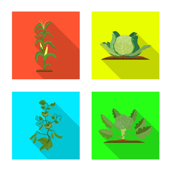 Ilustração vetorial do logotipo da estufa e da planta. Conjunto de estufa e ícone de vetor de jardim para estoque . — Vetor de Stock
