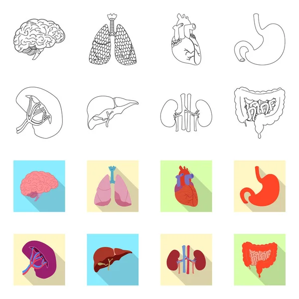 Conception vectorielle du corps et de l'icône humaine. Ensemble d'illustration vectorielle du corps et du stock médical . — Image vectorielle