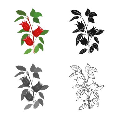 Vector illustration of flower and hibiscus symbol. Web element of flower and tropical stock vector illustration.