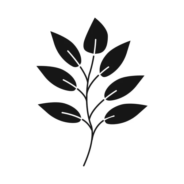 Projeto vetorial do logotipo da folha e do café. Coleção de folhas e plantas ilustração vetorial de estoque . —  Vetores de Stock