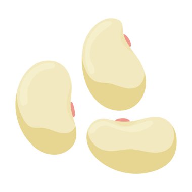 Beyaz fasulye vektör simgesi. Beyaz fasülye üzerinde karikatür vektör simgesi izole edildi..