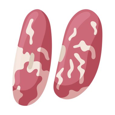 Fasulye vektör simgesi kırmızısı. Karikatür vektör simgesi fasulyenin beyaz arka planında izole edilmiş..