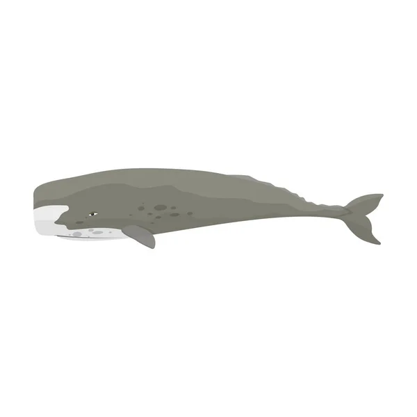 精子クジラのベクトルアイコン白い背景に隔離された漫画のベクトルアイコン精子クジラ . — ストックベクタ