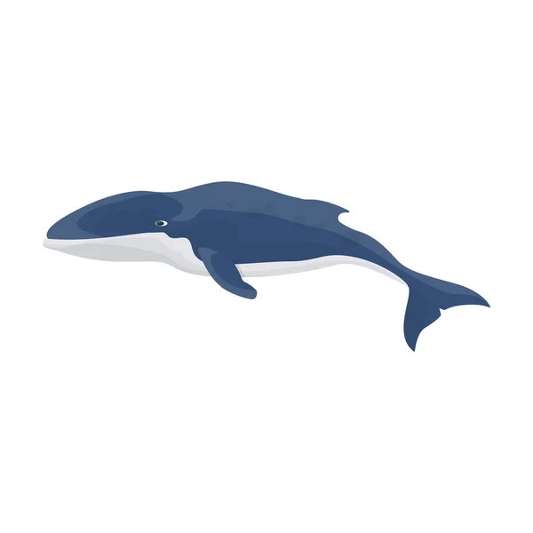 흰긴수염고래 (blue whale vector icon.cartoon vector icon) 흰 배경 흰긴수염고래에 분리 됨. — 스톡 벡터