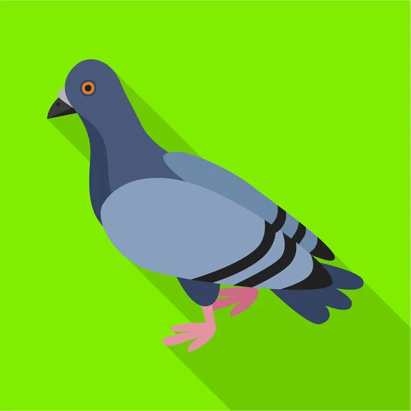 Pigeon vector icon.Flat vector icon isolated on white background pigeon. — Stock Vector